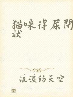 猫咪得尿闭的症状