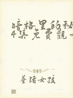 暗格里的秘密24集免费观看电视剧