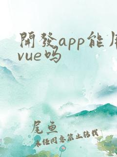开发app能用vue吗