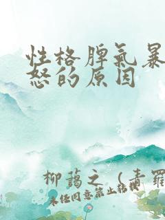 性格脾气暴躁易怒的原因