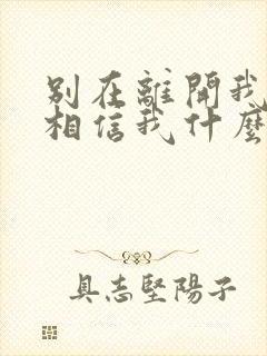 别在离开我请你相信我什么歌