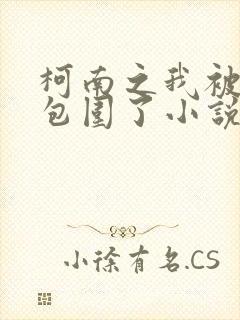 柯南之我被卧底包围了小说txt