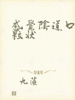 感觉阴道口有颗粒状