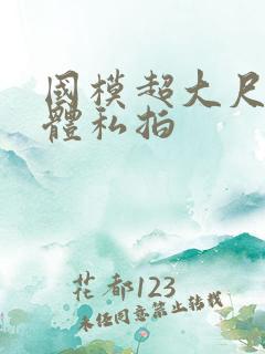 国模超大尺度肉体私拍