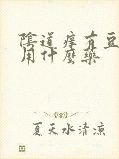 阴道痒有豆腐渣用什么药