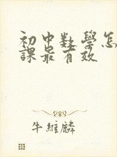 初中数学怎么补课最有效