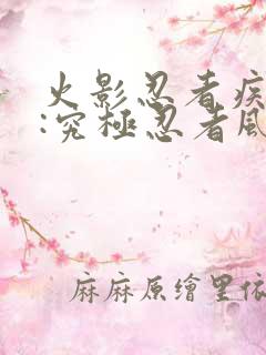 火影忍者疾风传:究极忍者风暴2