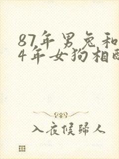 87年男兔和94年女狗相配婚姻如何