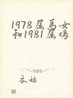 1978属马女和1981属鸡男婚姻怎样