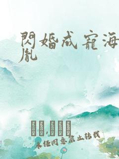 闪婚成宠海彤战胤