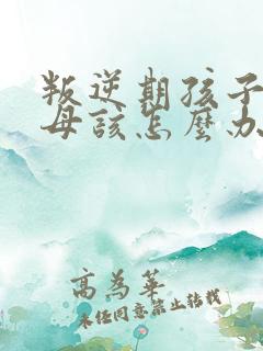 叛逆期孩子打父母该怎么办