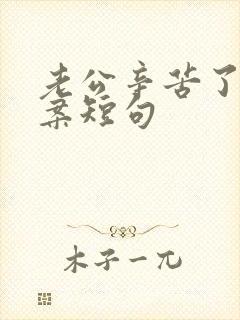 老公辛苦了的文案短句