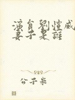 演员刘恺威现任妻子是谁