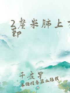 2厘米肺上有结节