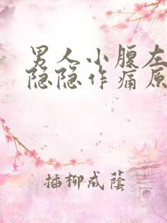 男人小腹左下侧隐隐作痛原因有哪些