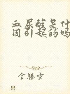 血尿酸是什么原因引起的吗