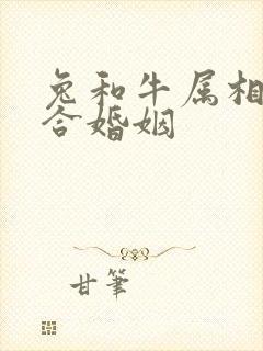 兔和牛属相合不合婚姻