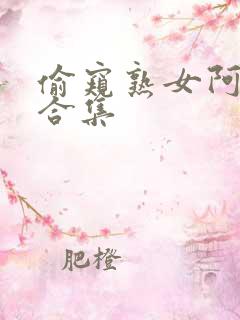 偷窥熟女阿高潮合集