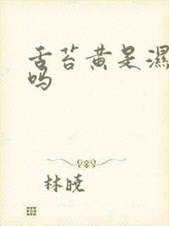 舌苔黄是湿气重吗