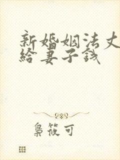 新婚姻法丈夫不给妻子钱