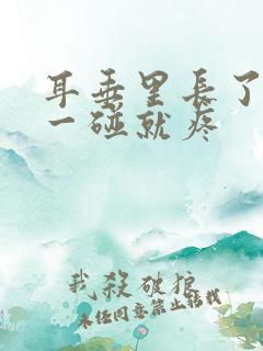 耳垂里长了个包一碰就疼