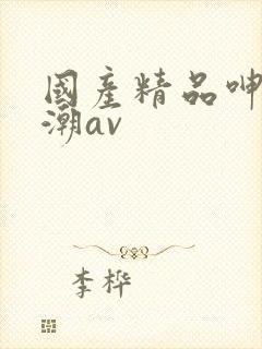 国产精品呻吟高潮av