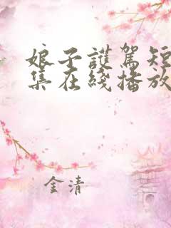 娘子护驾短剧全集在线播放免费下载