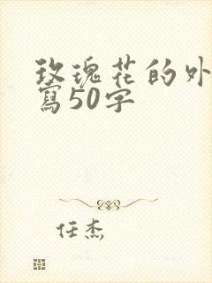 玫瑰花的外形描写50字