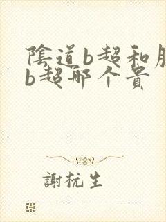 阴道b超和腹部b超哪个贵