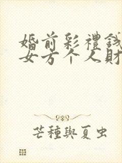 婚前彩礼钱属于女方个人财产吗