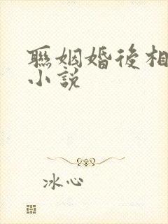 联姻婚后相爱的小说