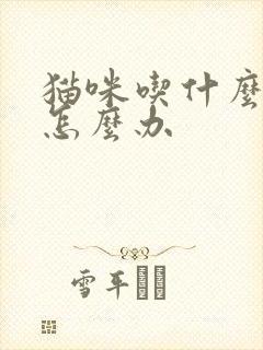 猫咪吃什么都吐怎么办