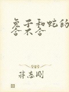 兔子和蛇的属相合不合