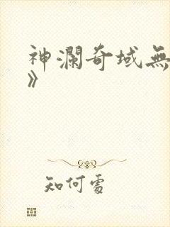 神澜奇域无双珠》