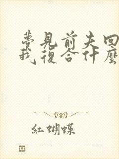 梦见前夫回来找我复合什么意思啊