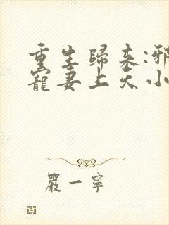 重生归来:邪王宠妻上天小说