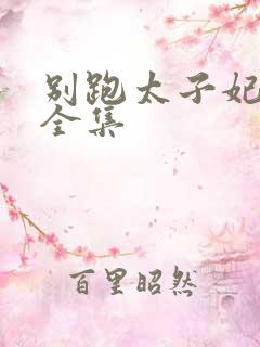 别跑太子妃短剧全集