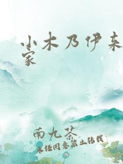 小木乃伊来到我家