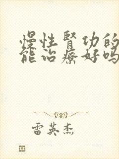 慢性肾功的衰竭能治疗好吗