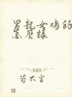 男龙女鸡的姻缘怎么样