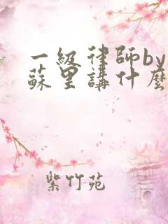 一级律师by木苏里讲什么