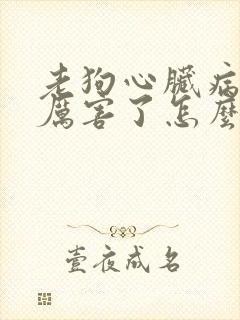 老狗心脏病喘的厉害了怎么办