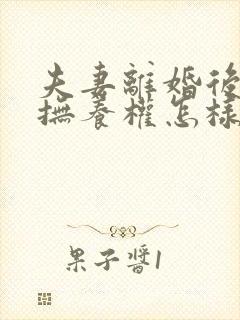 夫妻离婚后孩子抚养权怎样判