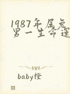1987年属兔男一生命运