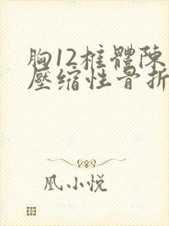 胸12椎体陈旧压缩性骨折