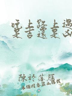 晚上路上遇到蛇是吉还是凶