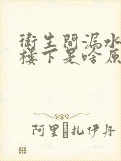 卫生间漏水漏到楼下是啥原因