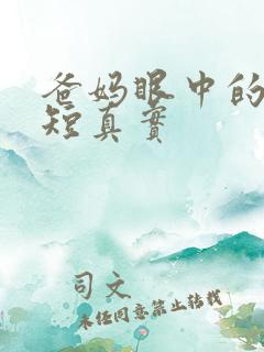 爸妈眼中的我简短真实