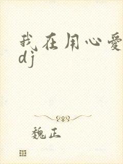 我在用心爱着你dj