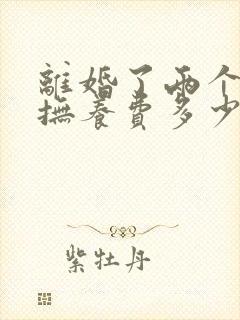 离婚了两个孩子抚养费多少钱一个月